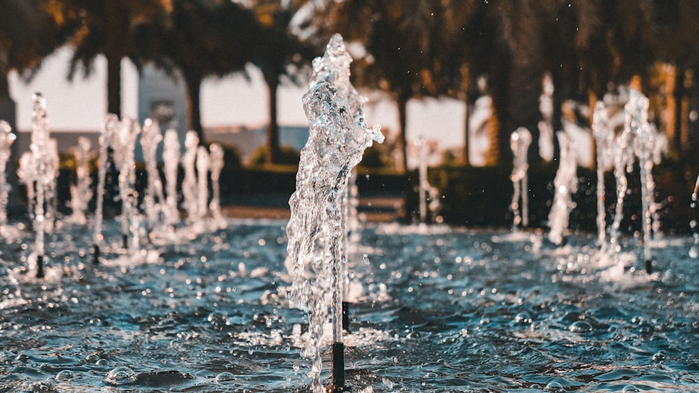 water fountain in the middle of the park