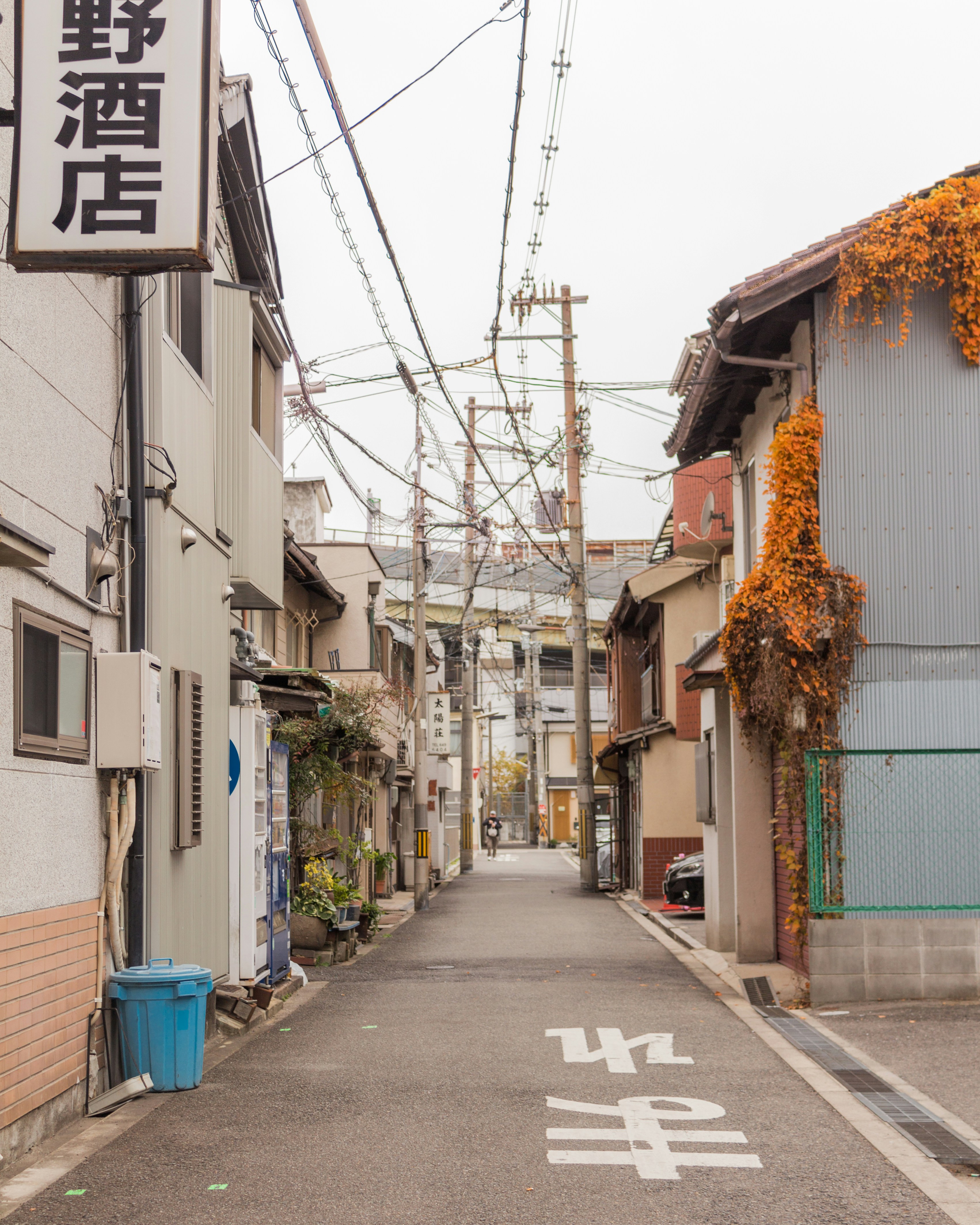 Photo by serenaclerio