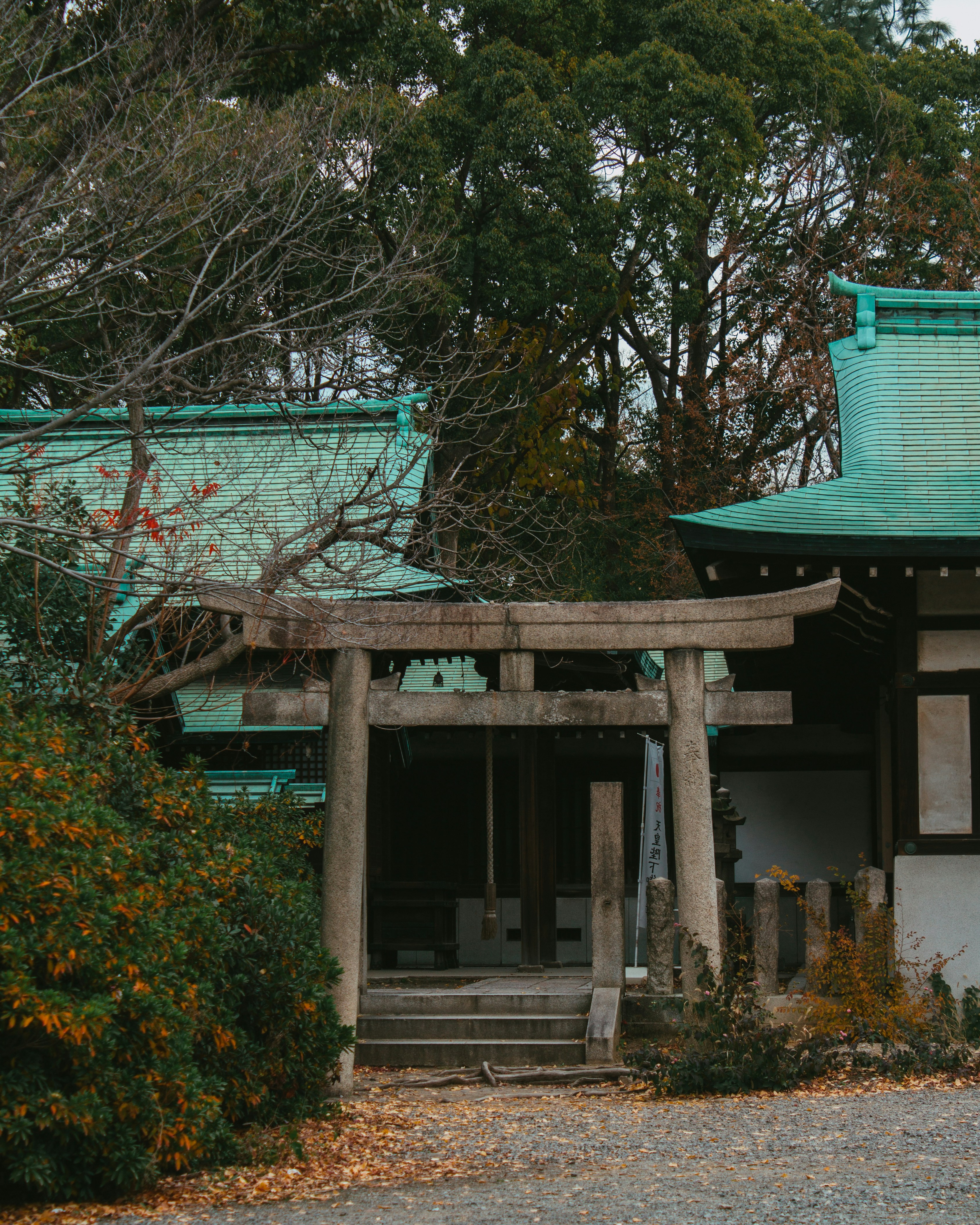 Photo by serenaclerio