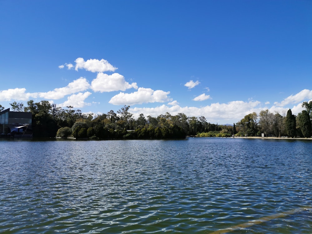 green trees beside body of water under blue sky and white clouds during daytime