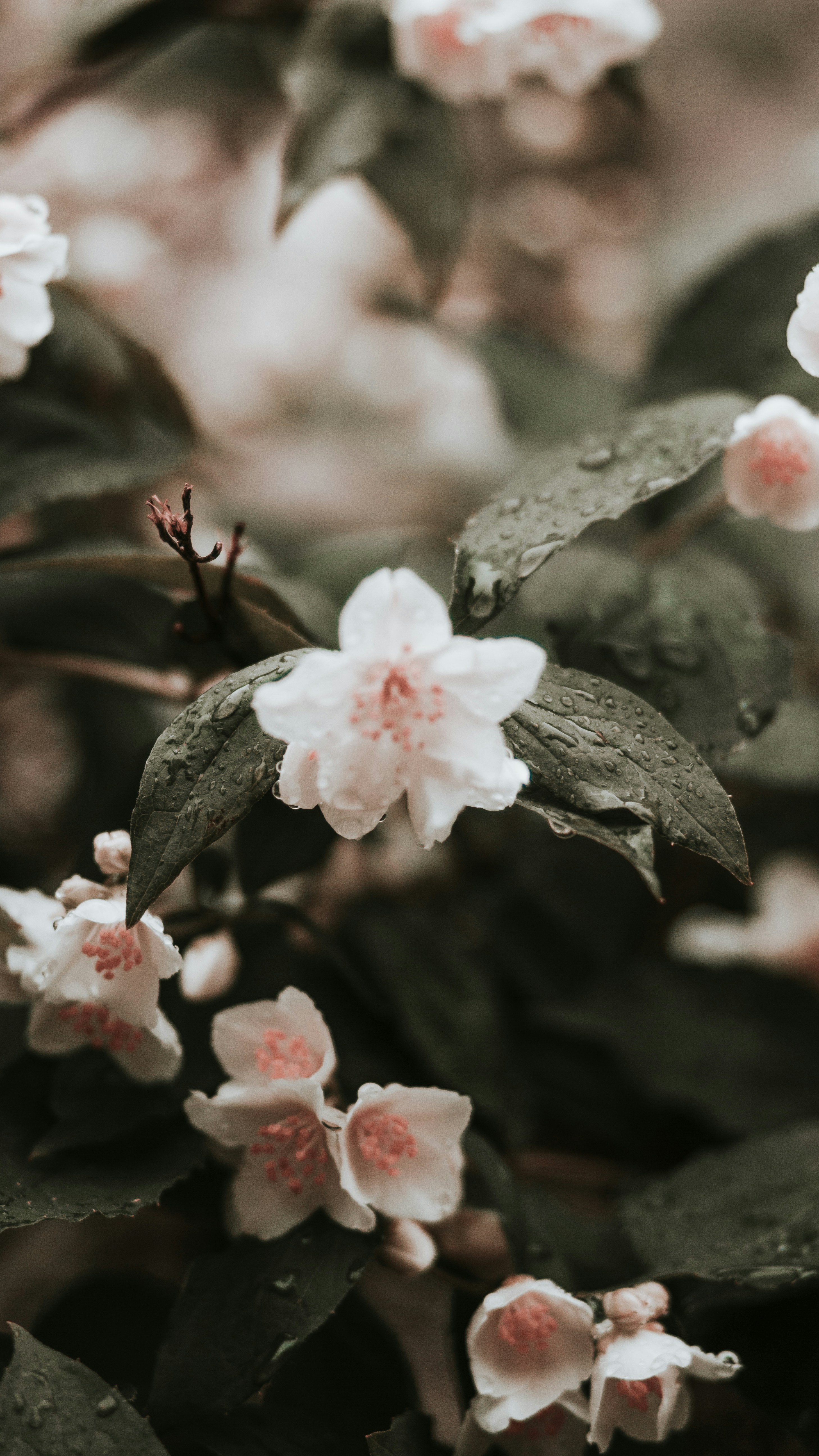 Photo by nuacho