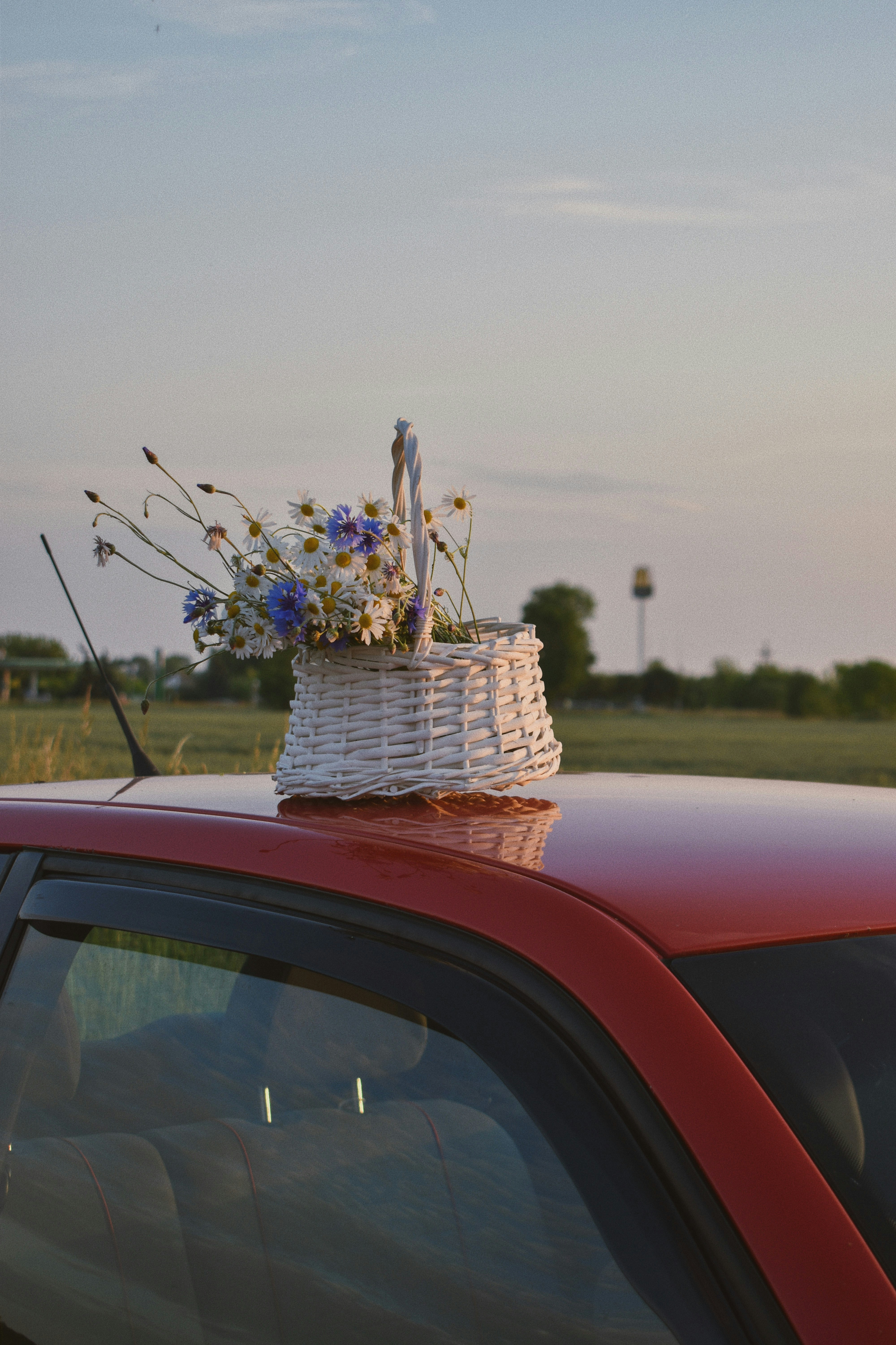 빨간 차에 파란색과 흰색 꽃 꽃다발