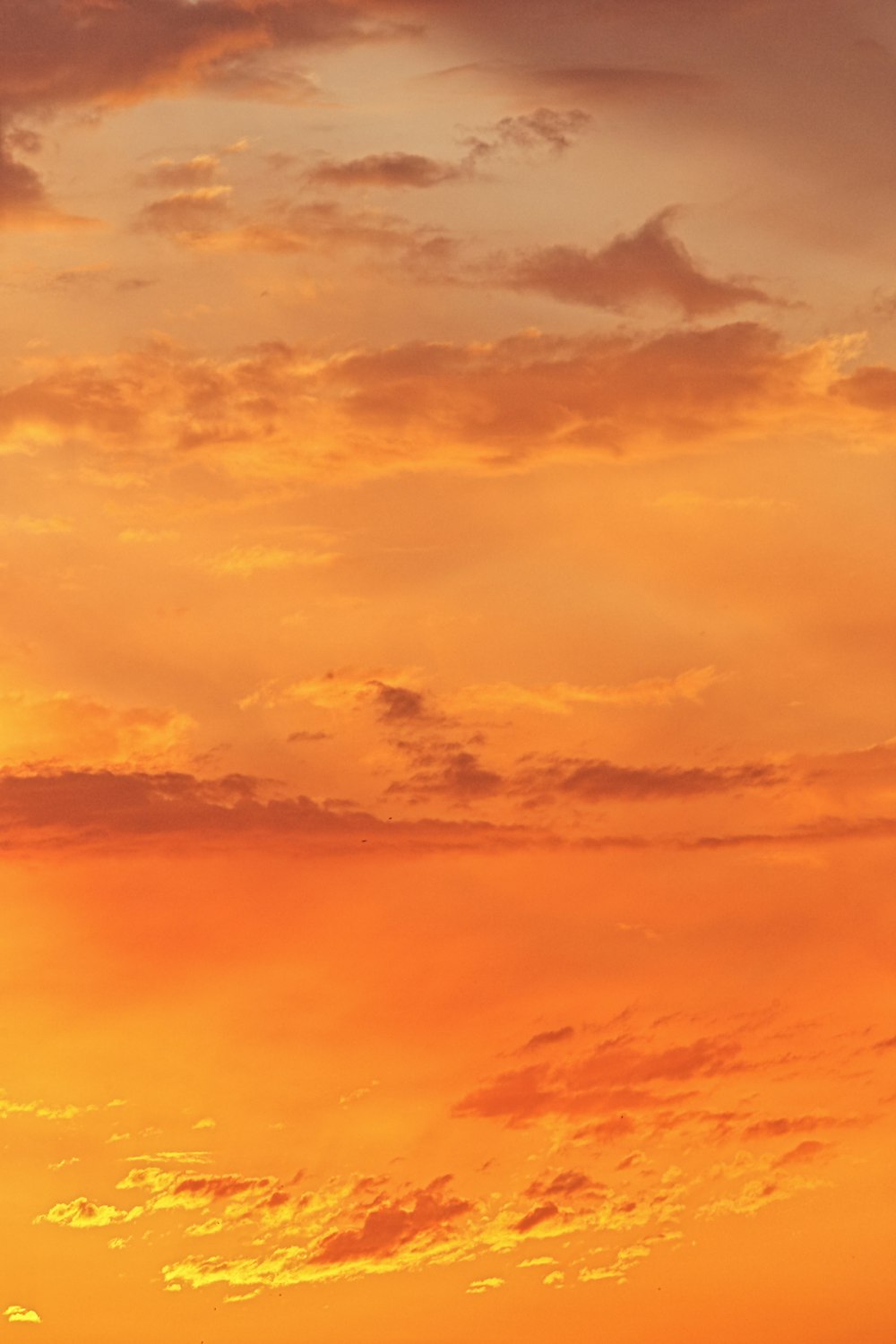 orange and blue cloudy sky