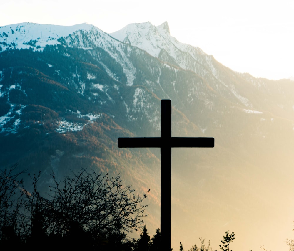 Cruz marrom na árvore marrom perto da montanha coberta de neve durante o dia