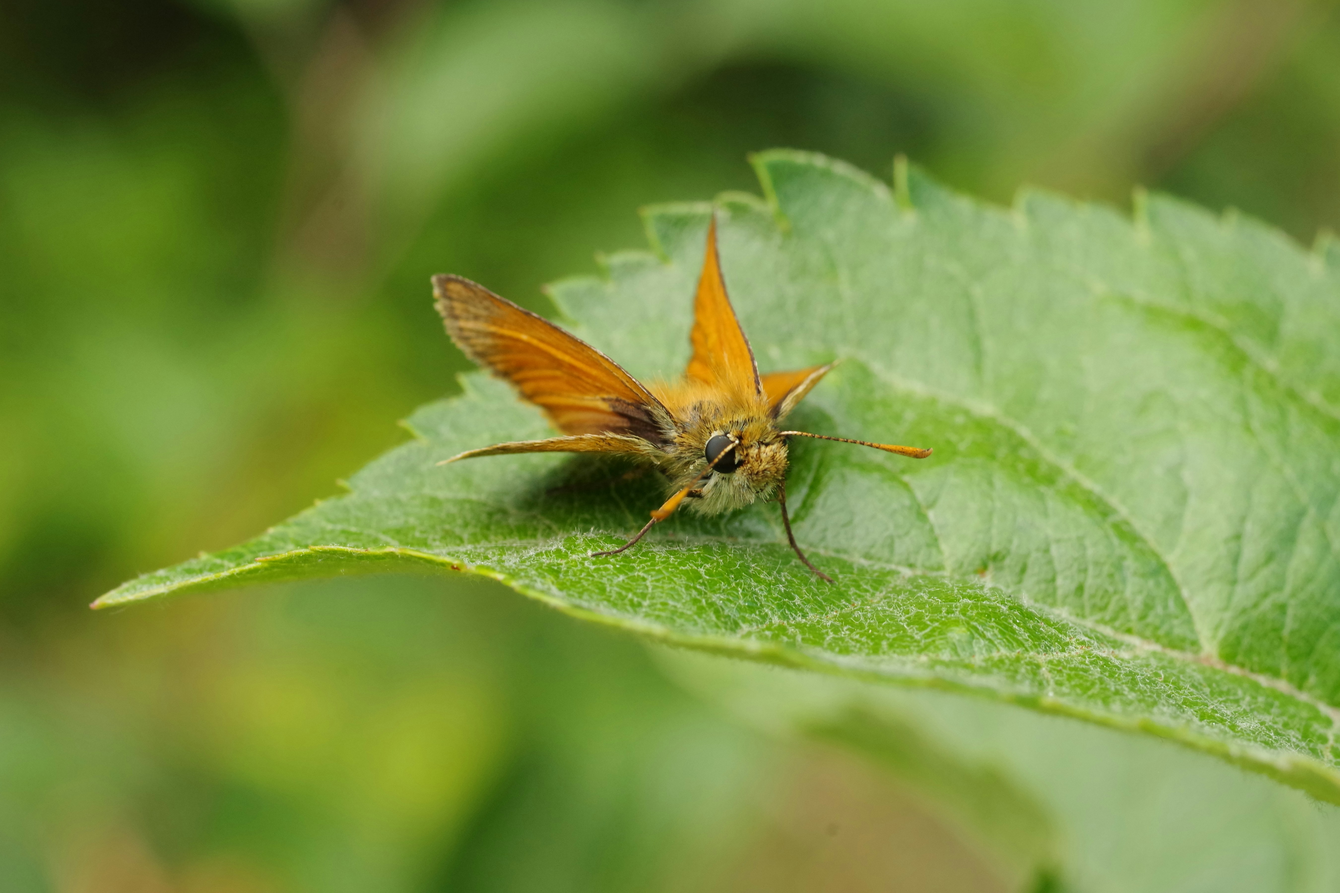 Photo by icimarseille