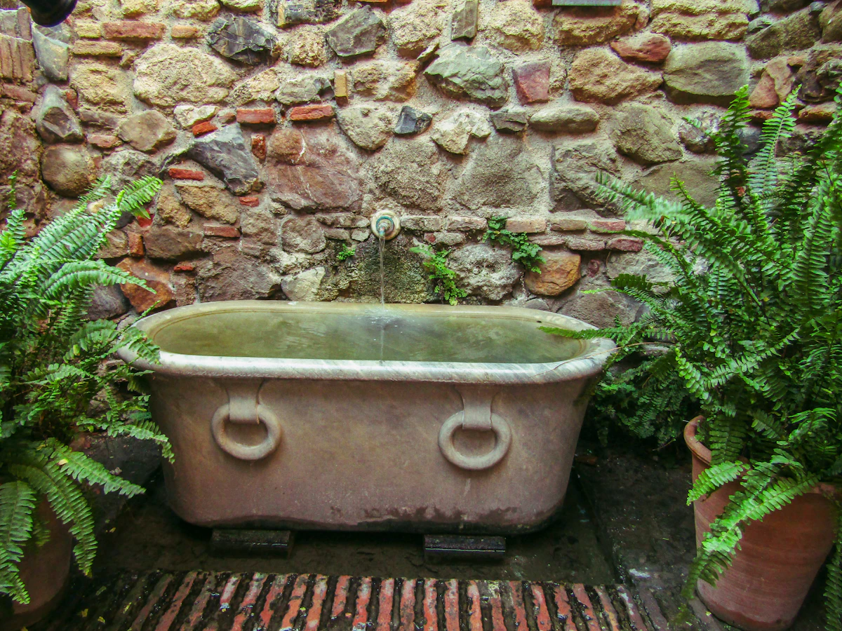 Bañera antigua junto a un muro de piedra entre helechos