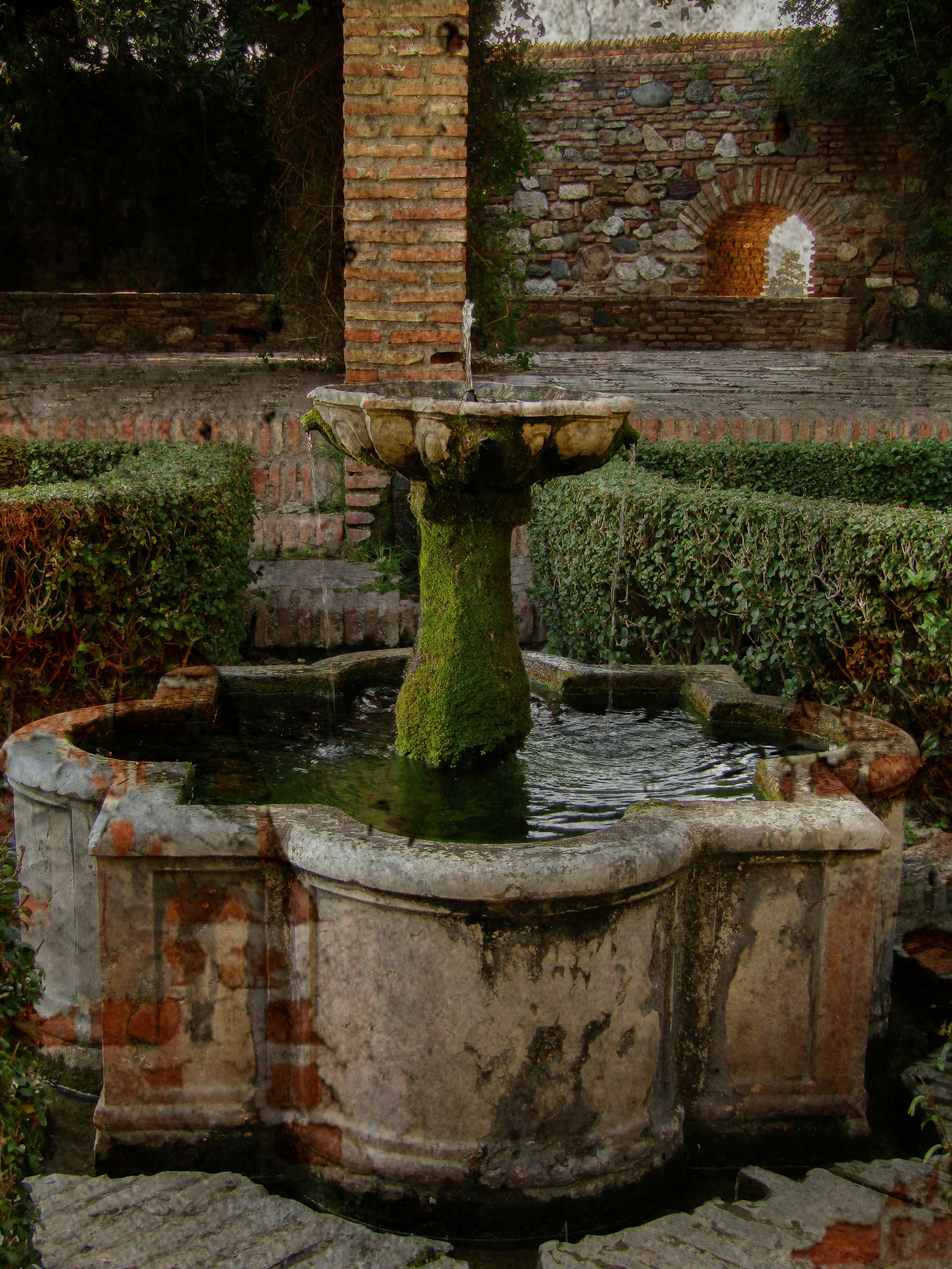 Photo by albahartmann
