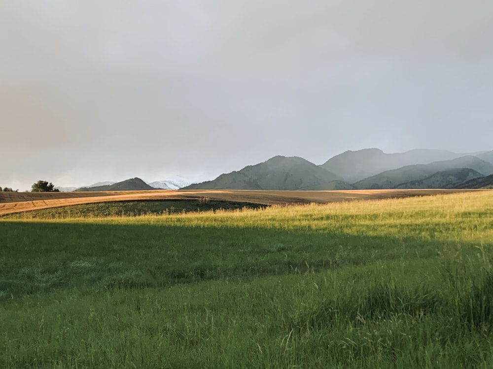 green grass field near mountains under white clouds during daytime