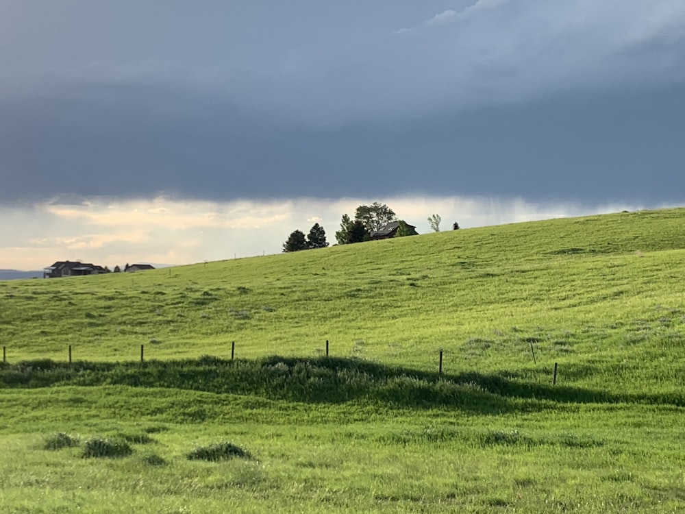 Champ d’herbe verte sous les nuages blancs pendant la journée