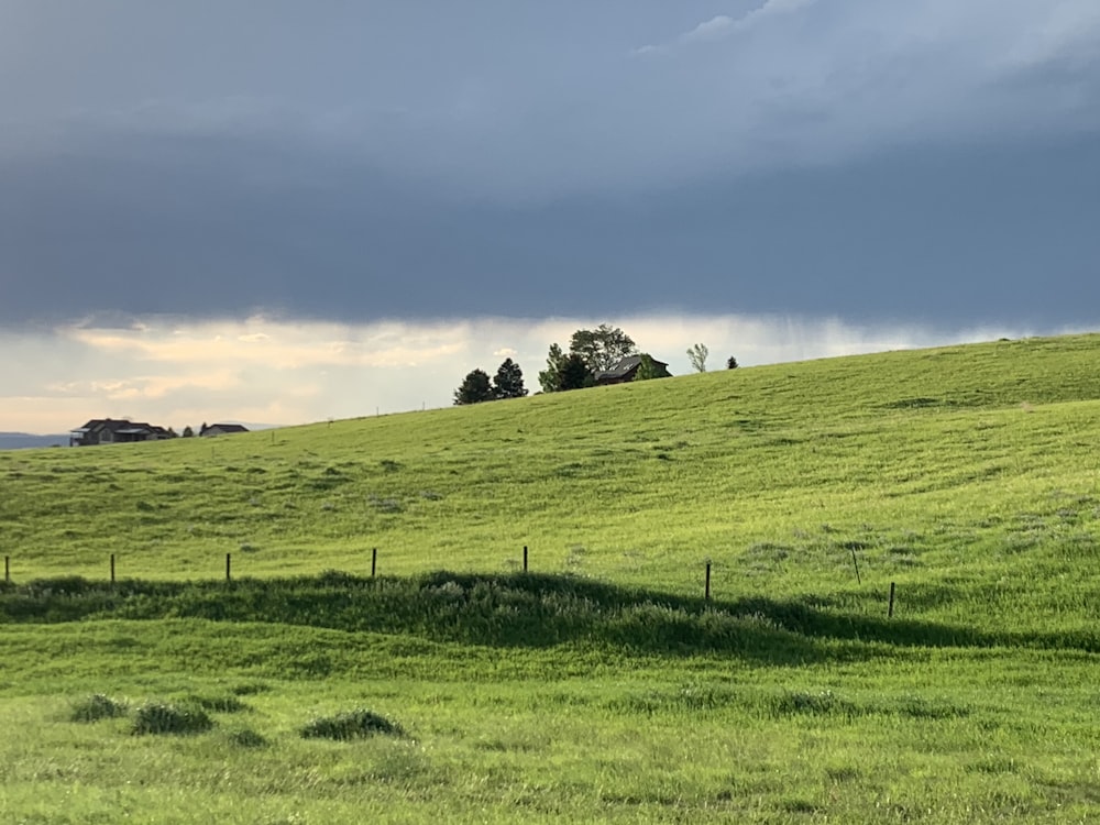 campo de hierba verde bajo nubes blancas durante el día