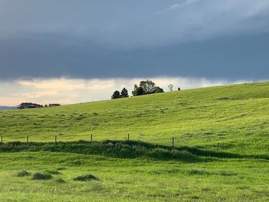 green grass field under white clouds during daytime in Montana United States