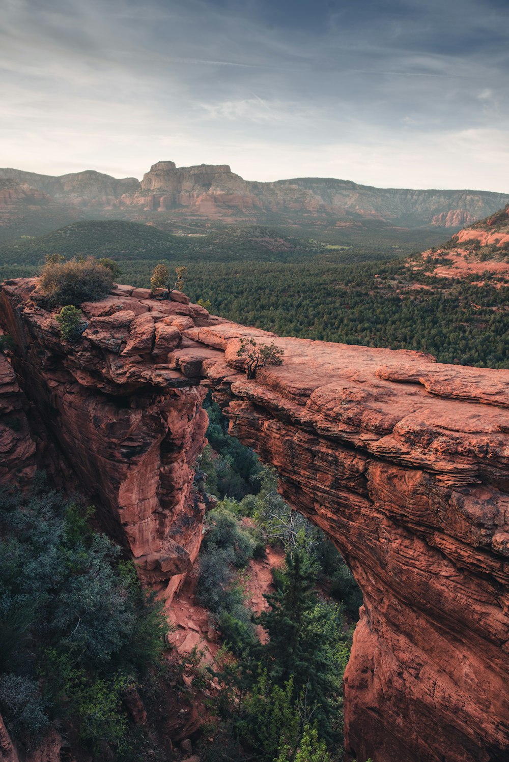 brown rock formation near green trees during daytime