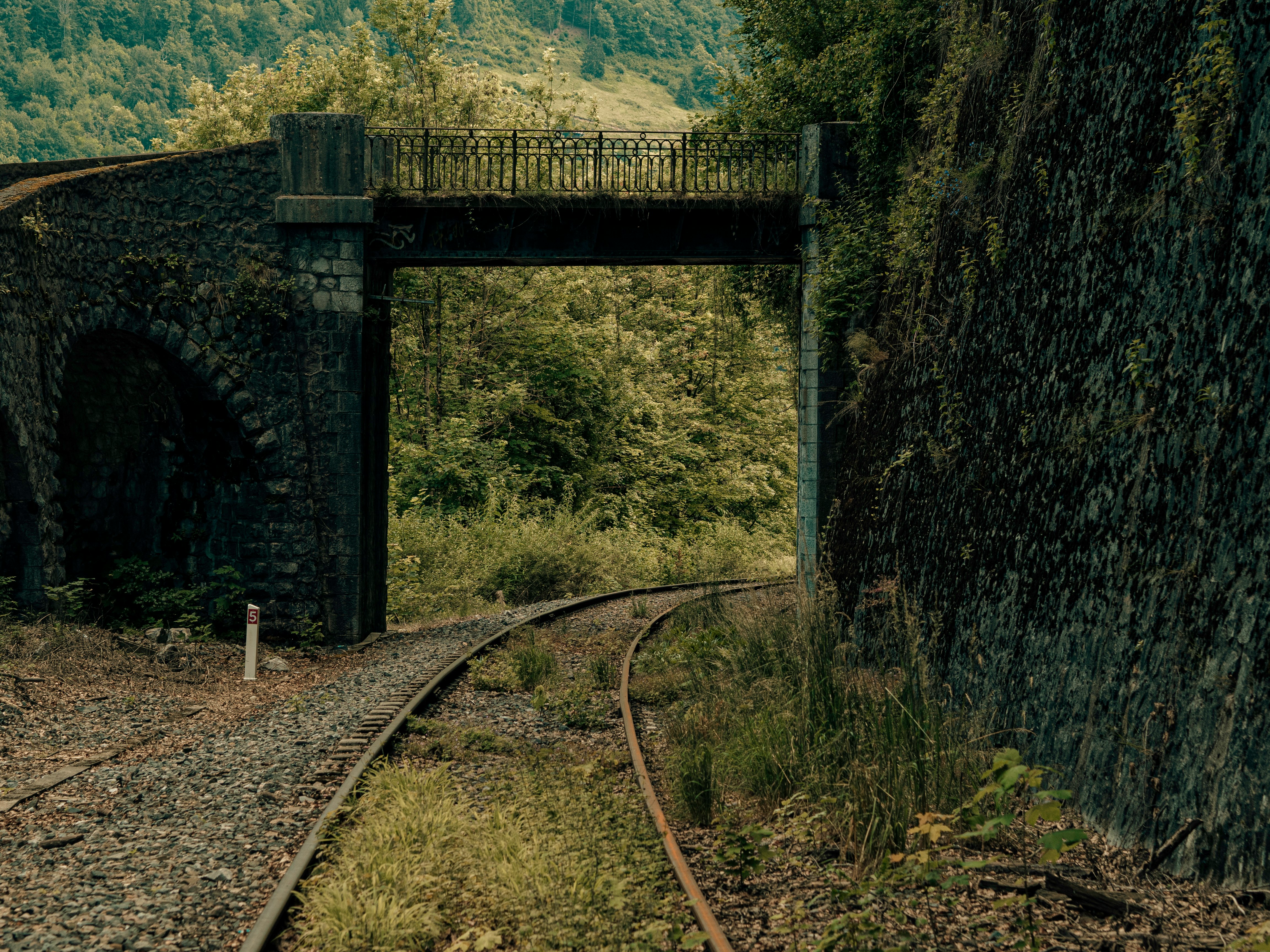 black metal train rail near green trees during daytime