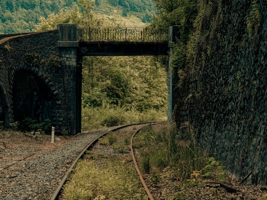 black metal train rail near green trees during daytime in Ugine France