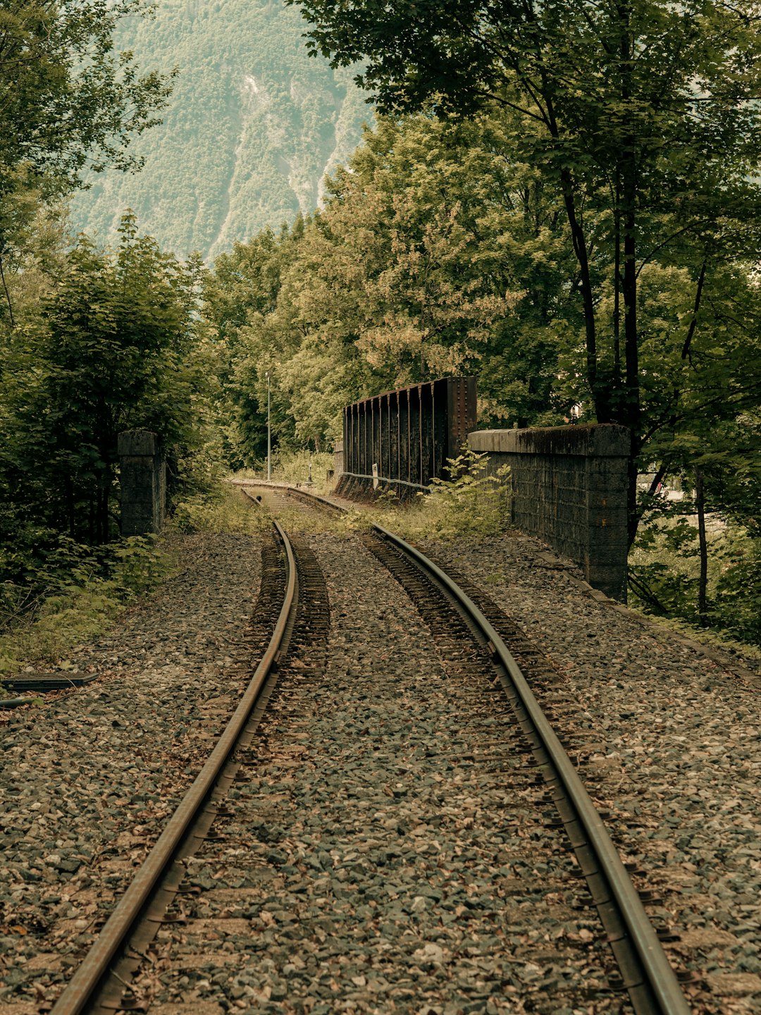 Forest photo spot Ugine Annecy