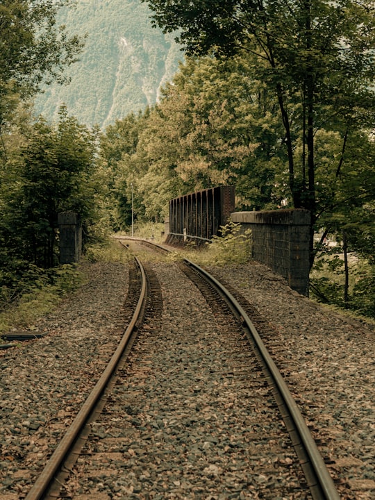 brown wooden house on train rail in Ugine France