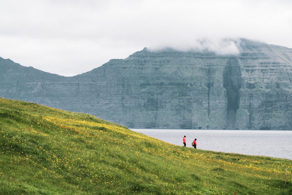 person in red jacket walking on green grass field near body of water during daytime