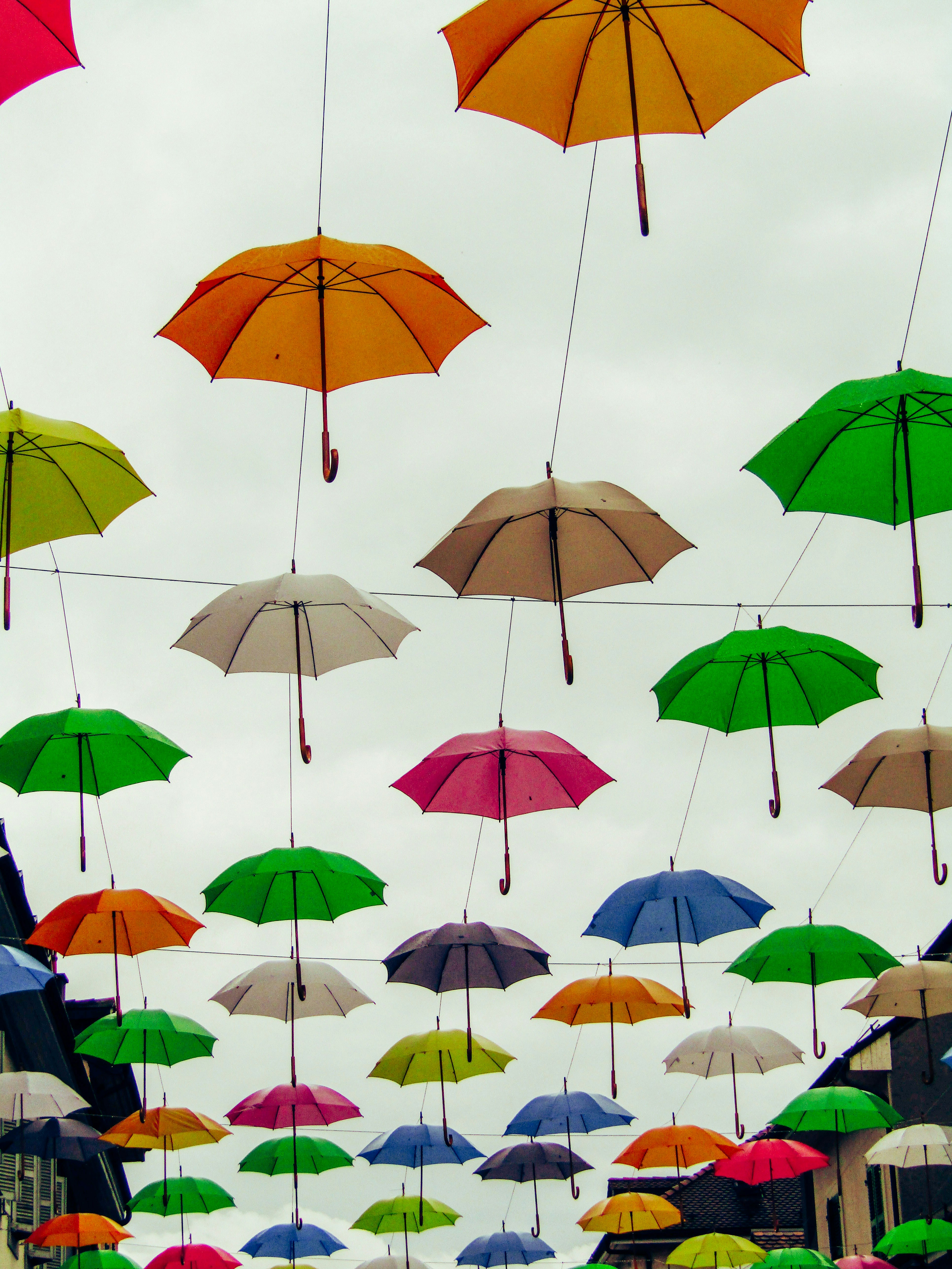 Photo by albahartmann