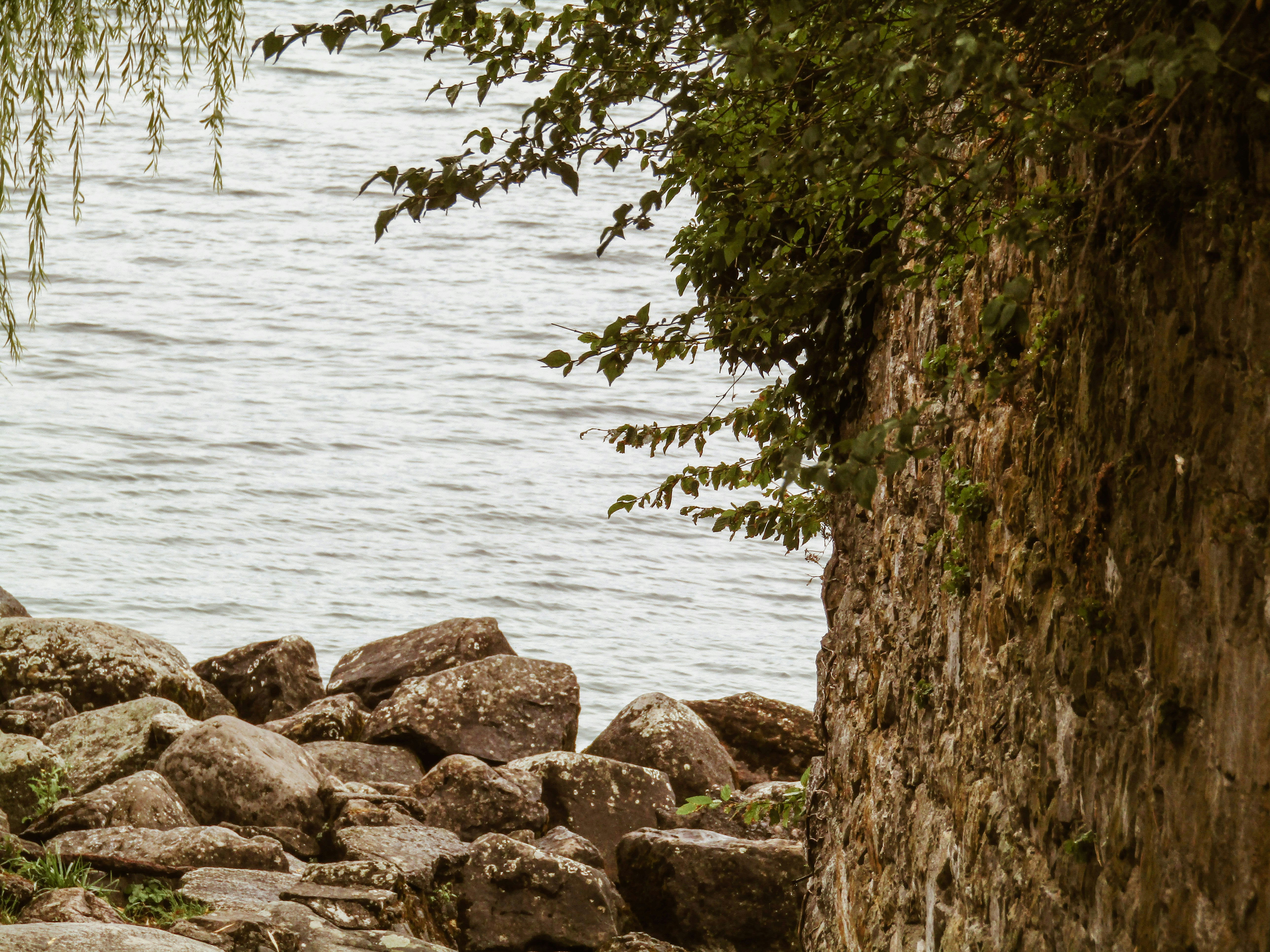 Photo by albahartmann