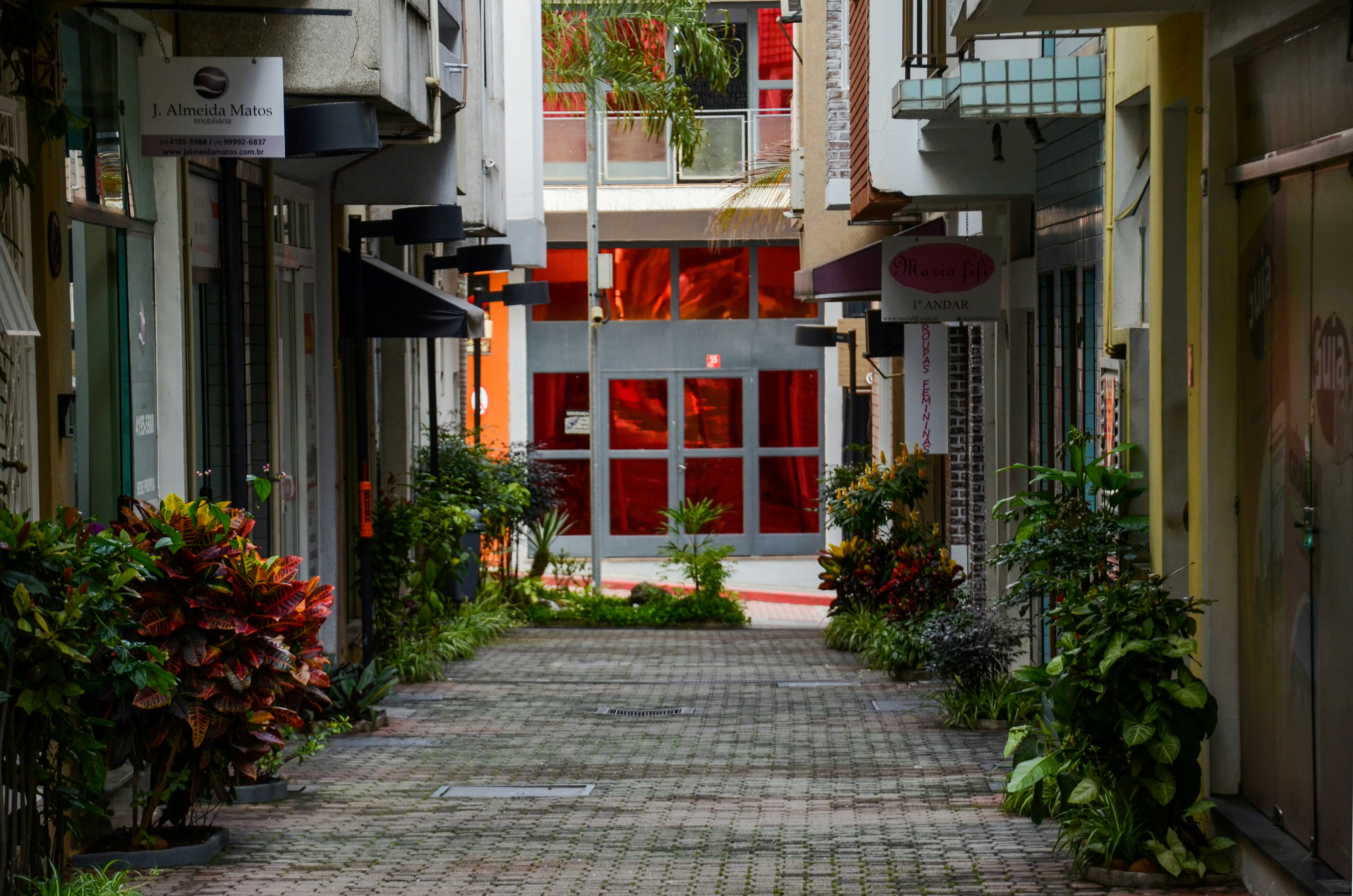 Photo by thegentleman