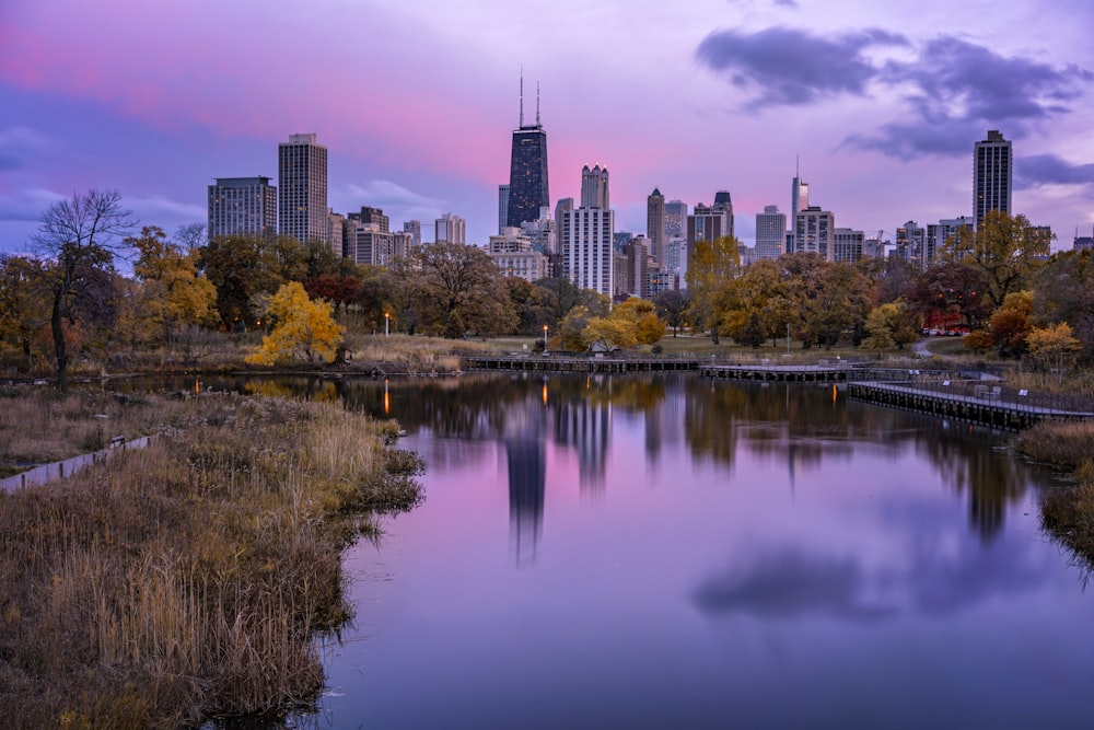 body of water near green trees and high rise buildings during daytime