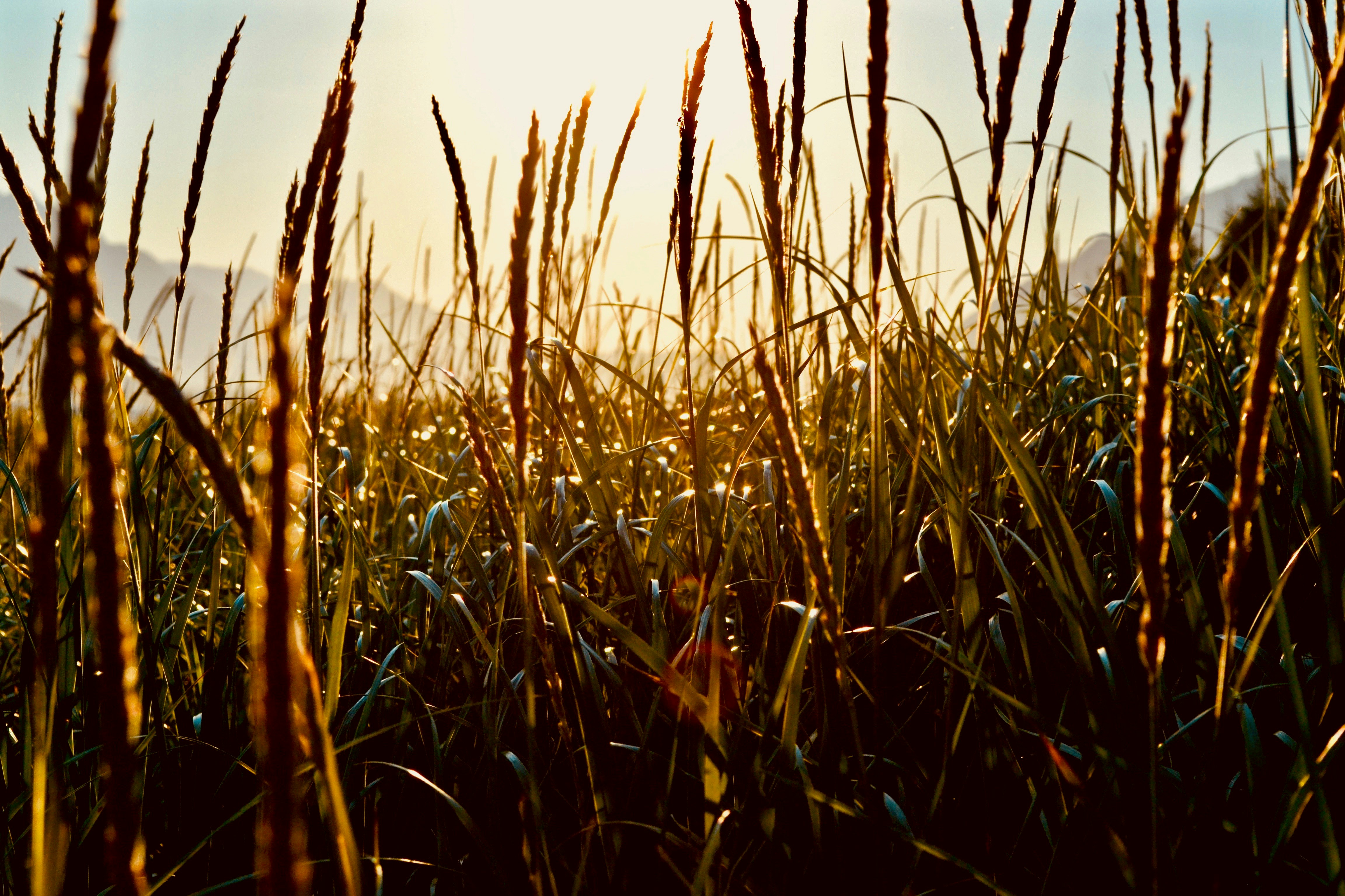 Photo by themiddlekidof3