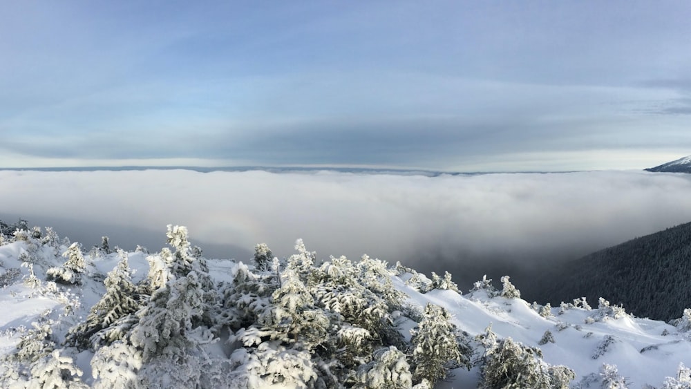 snow covered mountain under cloudy sky during daytime