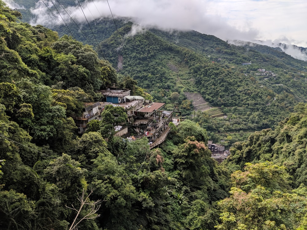 green trees on mountain under white clouds during daytime