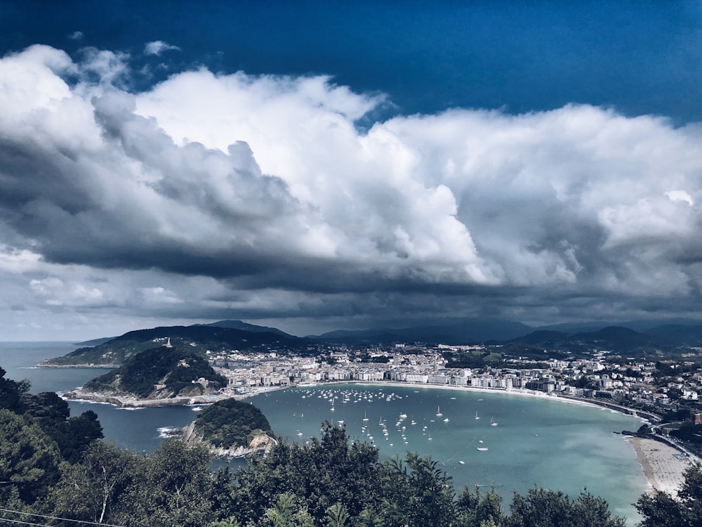 green trees near body of water under white clouds and blue sky during daytime