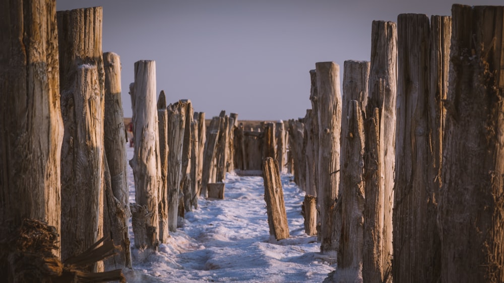 Tronco de madera marrón en suelo cubierto de nieve