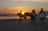 Group of surfers laughing and carrying boards by the ocean shore during sunset.