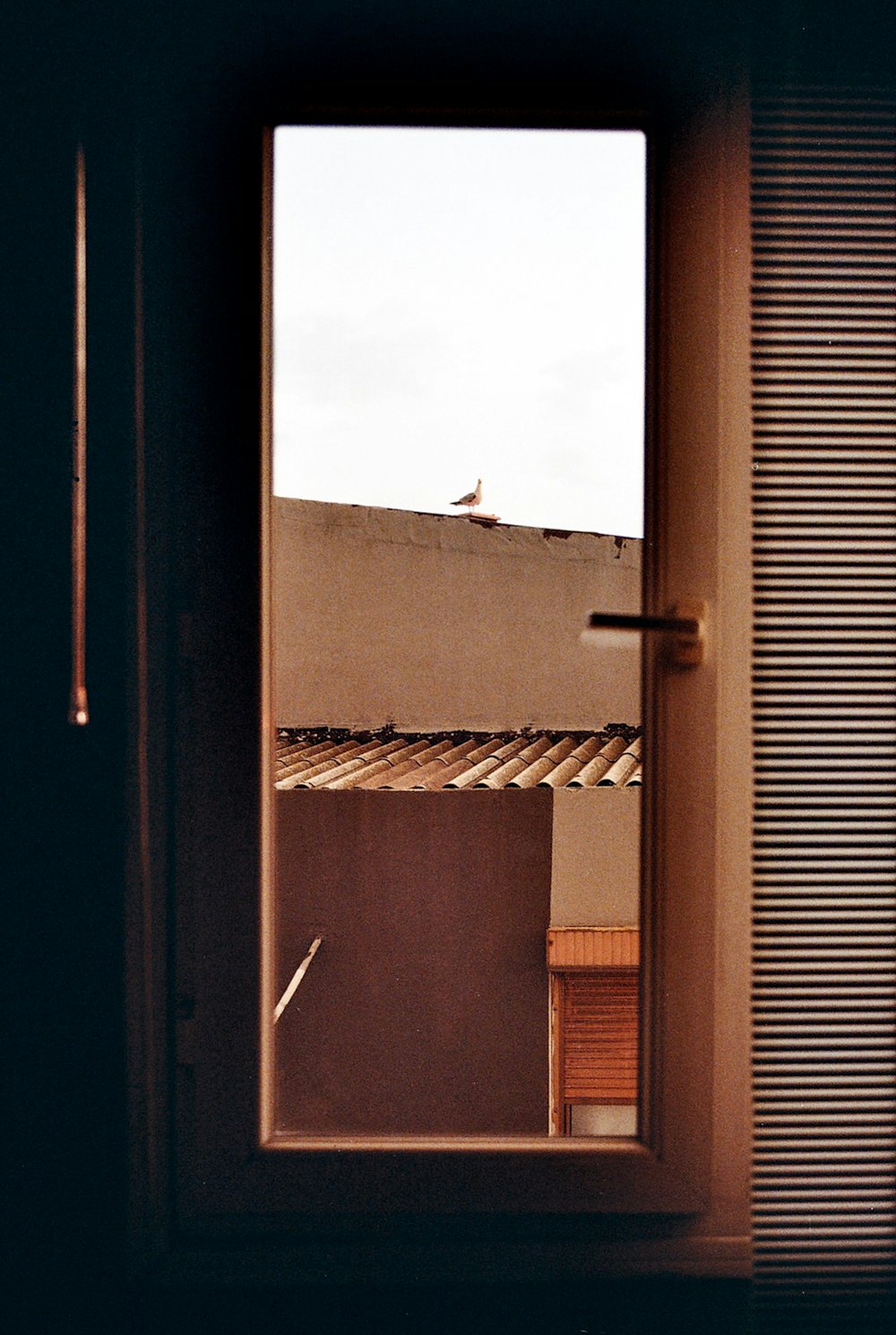 brown wooden door with white steel bar