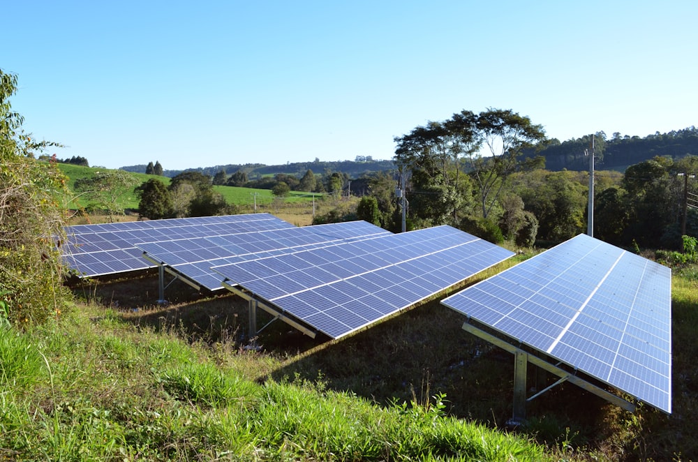 paneles solares en un campo de hierba verde bajo el cielo azul durante el día