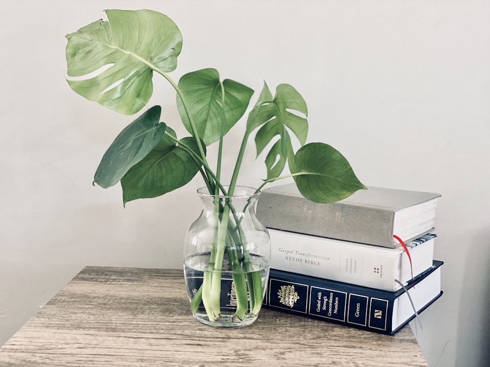 green plant in glass bottle