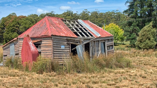 brown wooden house on green grass field during daytime in Port Cygnet Australia