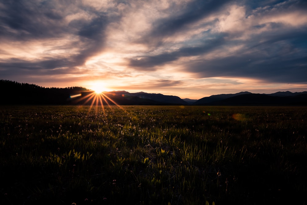 green grass field during sunset