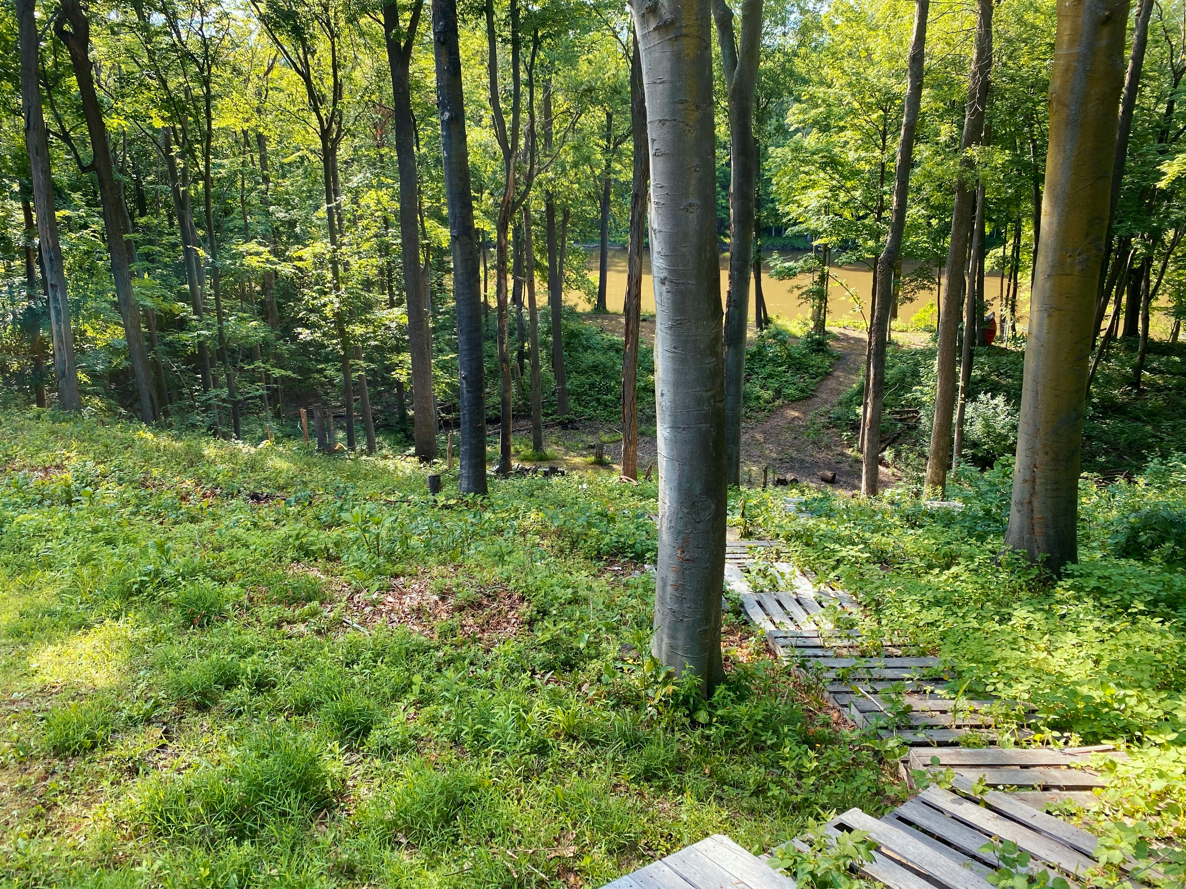 banc en bois marron sur un champ d’herbe verte