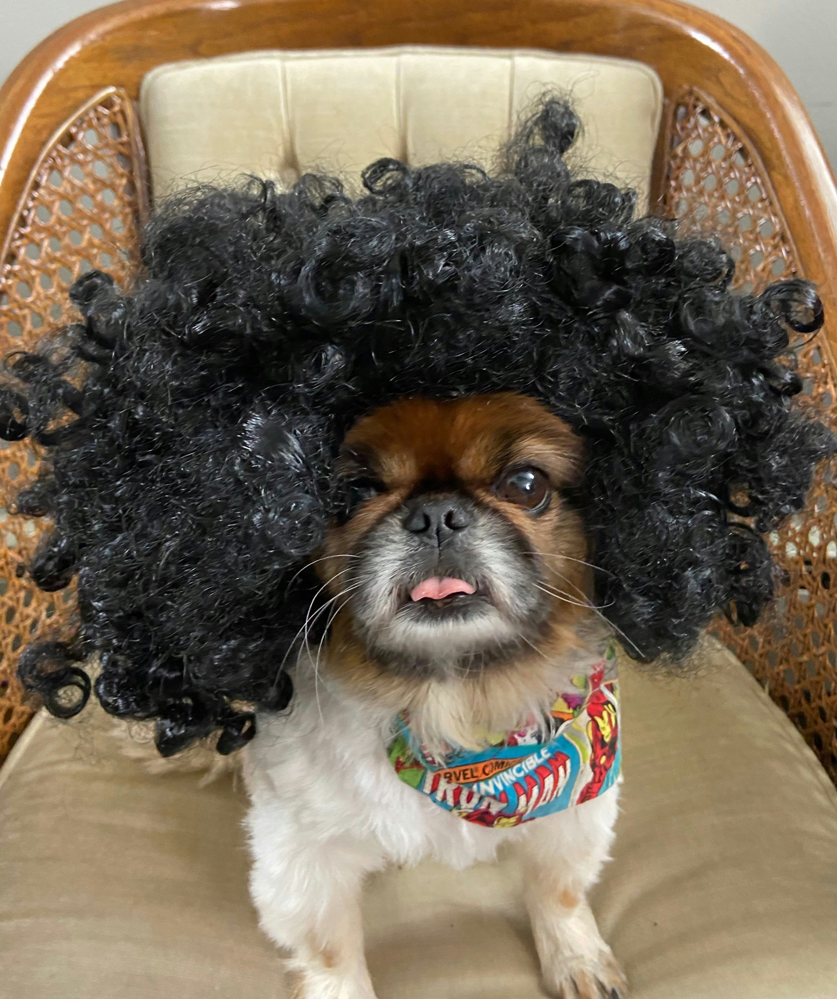 The Executive Classic Tie