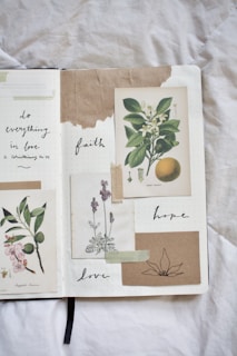 A softly lit journal page with pressed flowers and a handwritten Bible verse