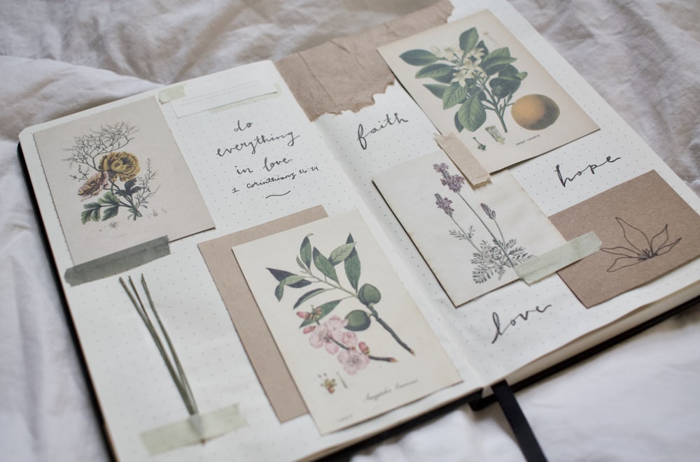 Cartes de vœux florales blanches et vertes