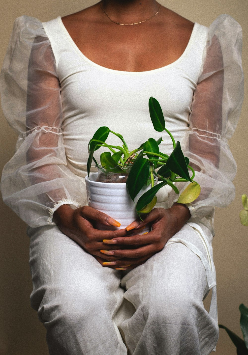 woman in white scoop neck long sleeve shirt holding green plant