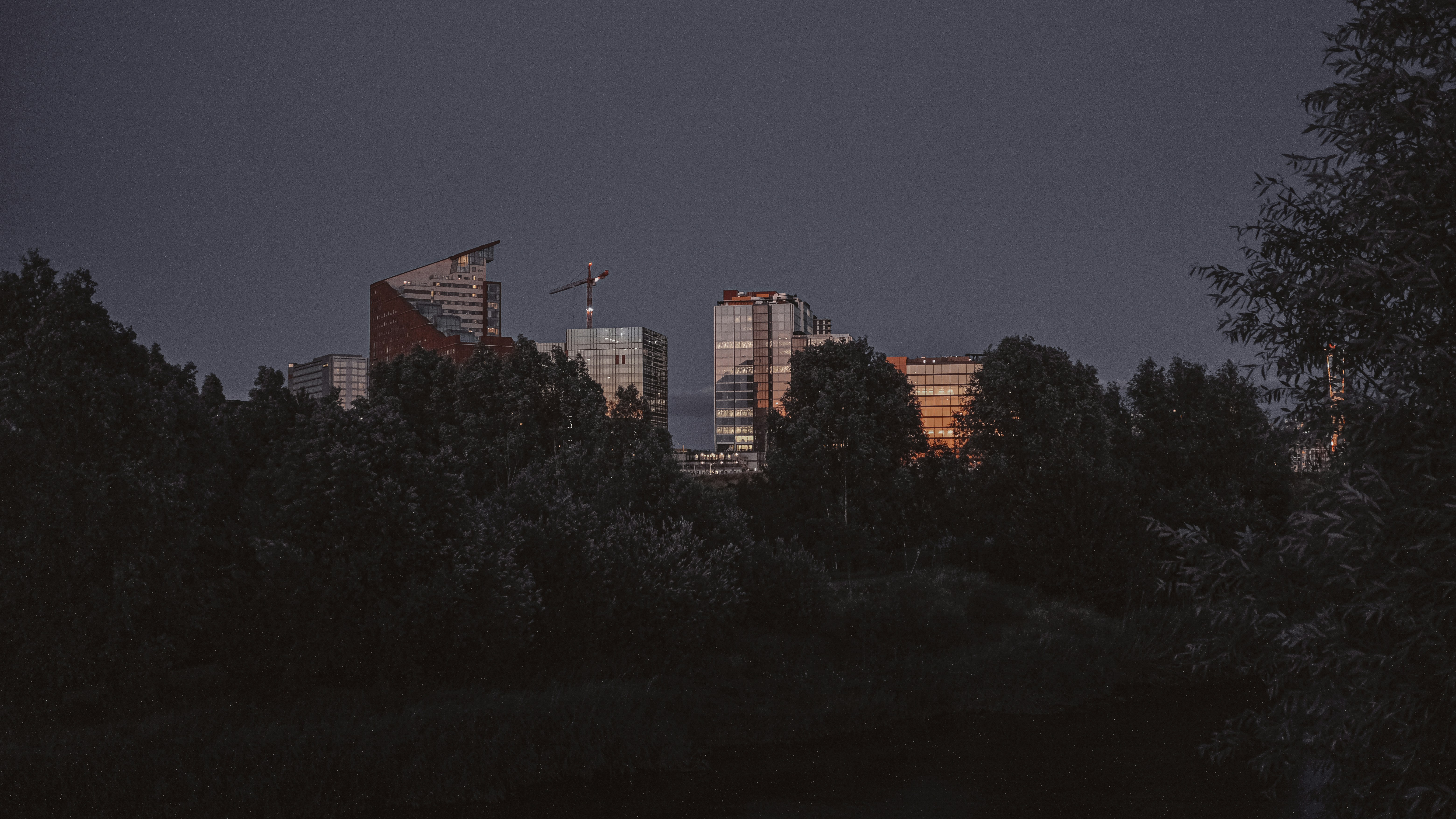 Photo by reganography