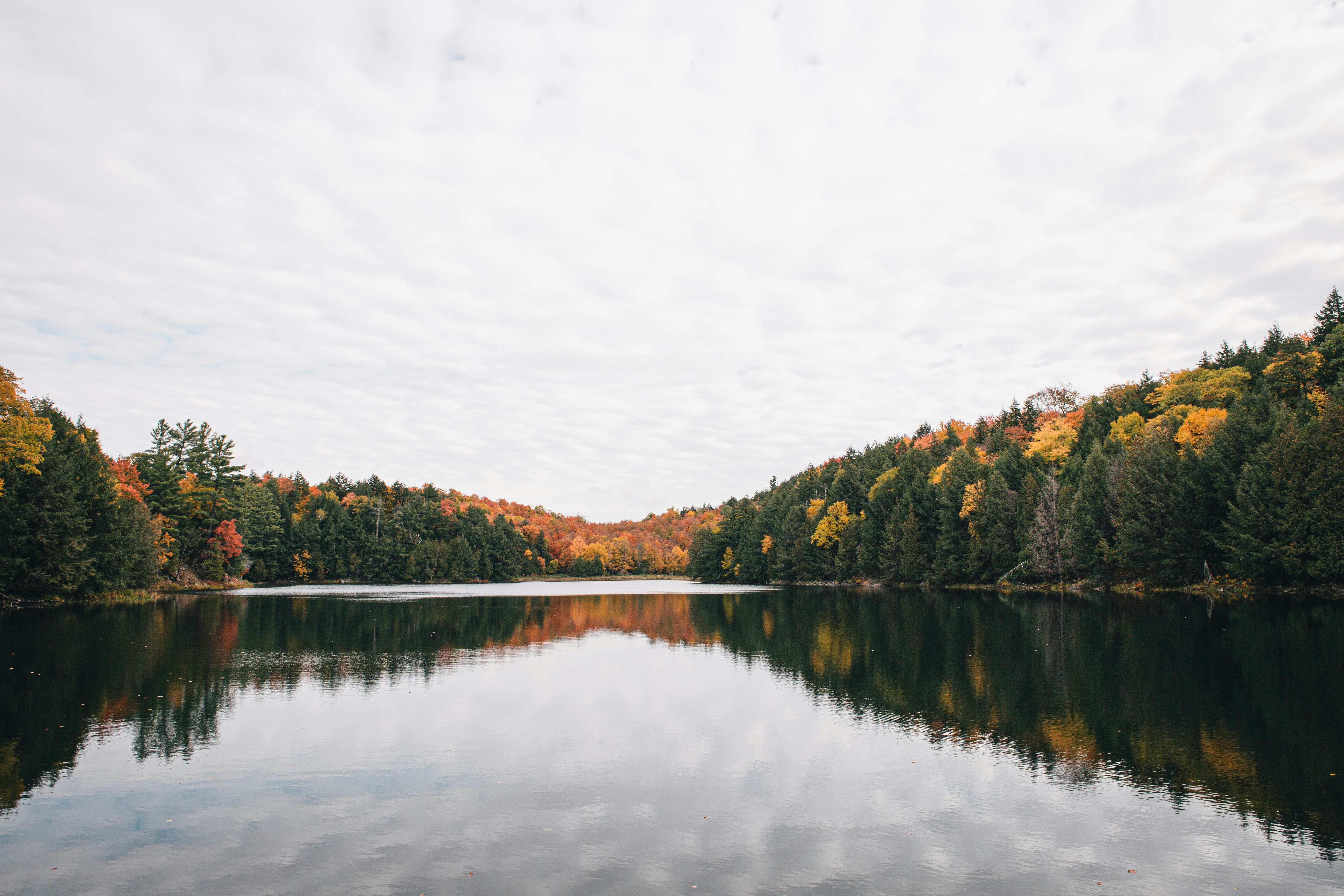 Fall, autumn, trees, forest, Canada, Quebec