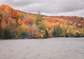 black house on body of water near trees during daytime