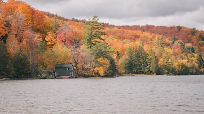 black house on body of water near trees during daytime