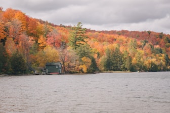 black house on body of water near trees during daytime