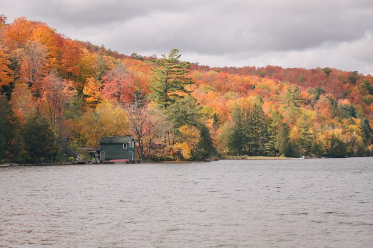 black house on body of water near trees during daytime