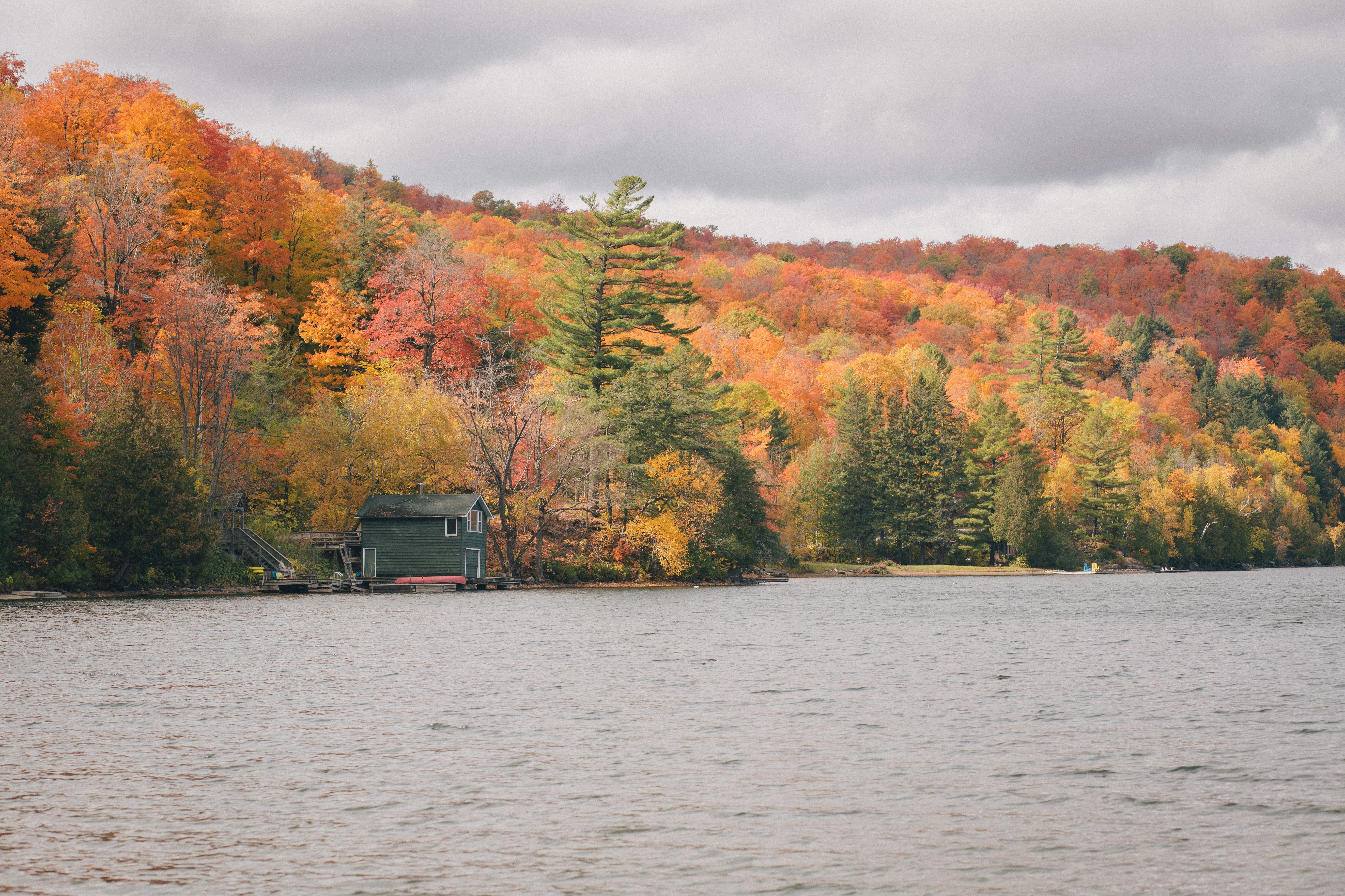black house on body of water near trees during daytime