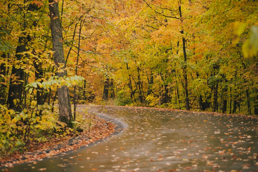 travelers stories about Temperate broadleaf and mixed forest in Chelsea, Canada