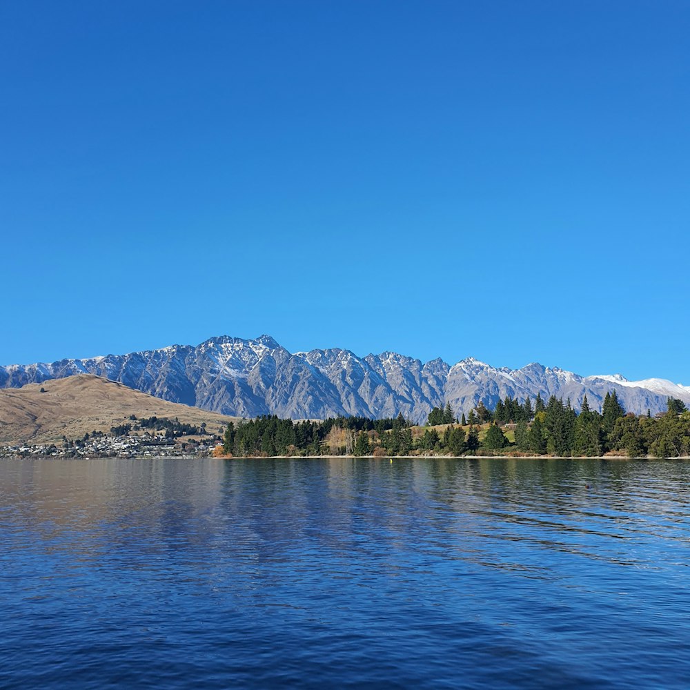 green trees near body of water under blue sky during daytime